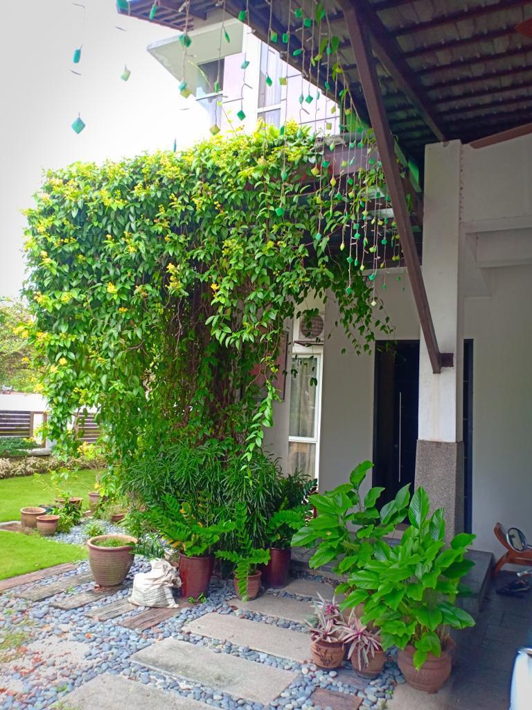 Corner bungalow laman Seri Seksyen 13 Shah alam - photo 2