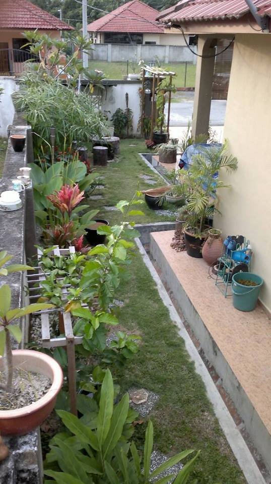 Taman Sri Adjua, Saujana Utama, Sg Buloh - photo 2