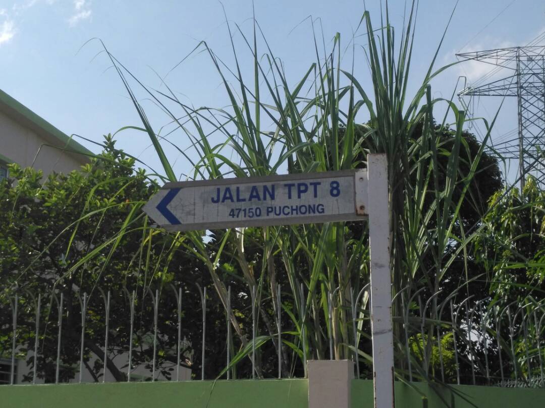 Taman Puchong Tekali, Puchong - photo 6