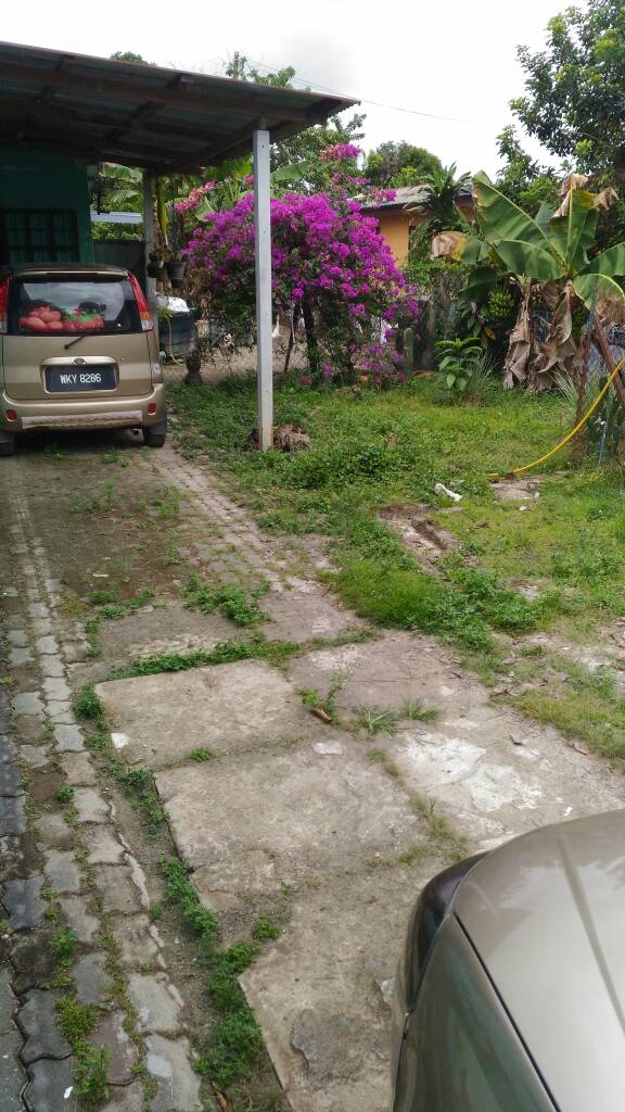 Kampung Sentosa, Semenyih - photo 2