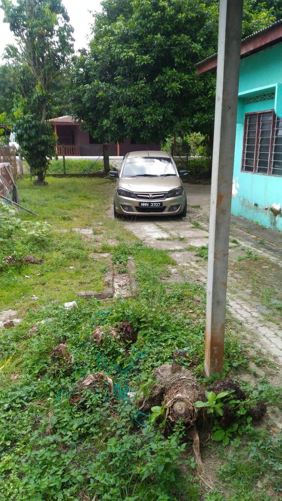Kampung Sentosa, Semenyih - photo 3