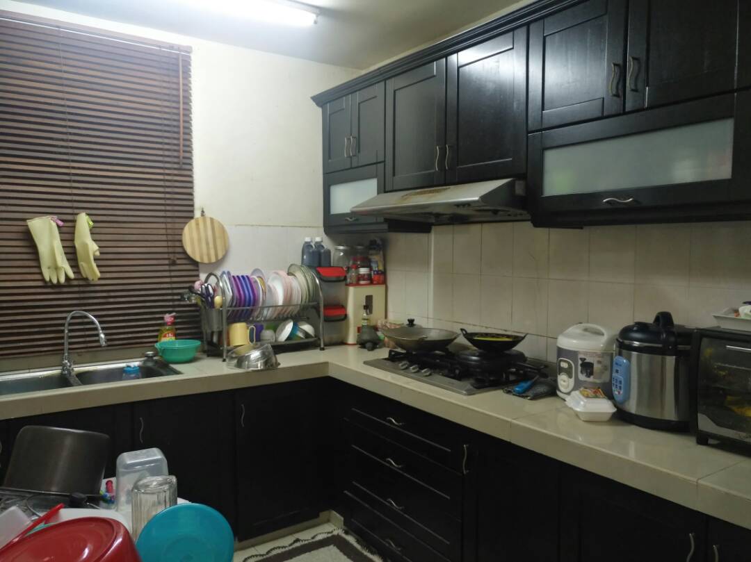 Taman Pinggiran USJ 1, Subang Jaya - photo 5