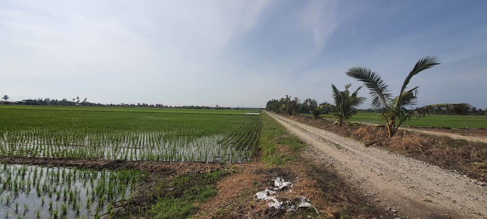 Tanah 2 96 EKAR Sungai Panjang Sabak Bernam - photo 2