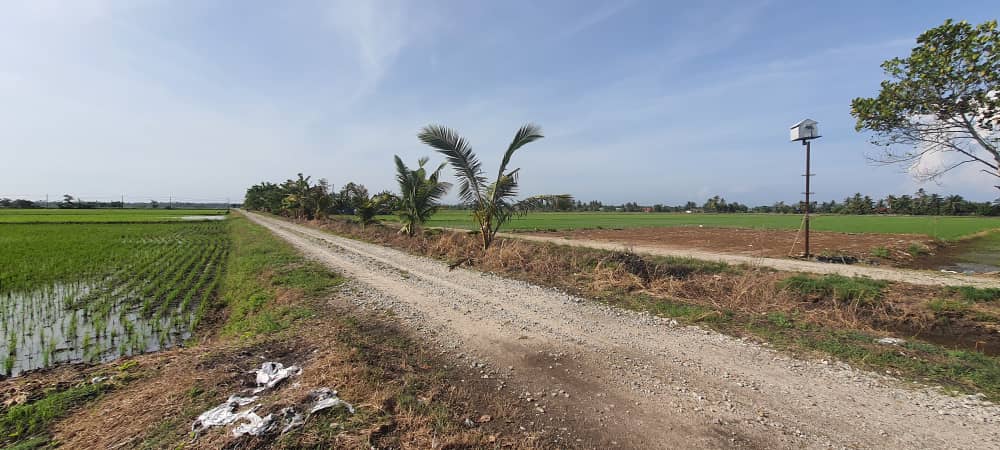 Tanah 2 96 EKAR Sungai Panjang Sabak Bernam - photo 4