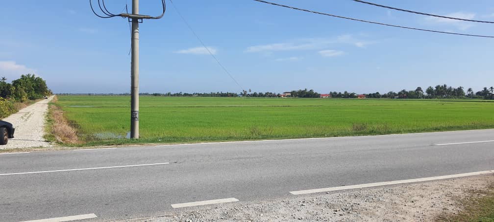 Tanah 2 96 EKAR Sungai Panjang Sabak Bernam - photo 8
