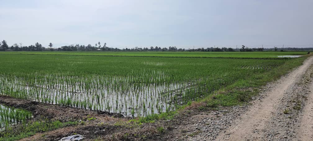 Tanah 2 96 EKAR Sungai Panjang Sabak Bernam - photo 9