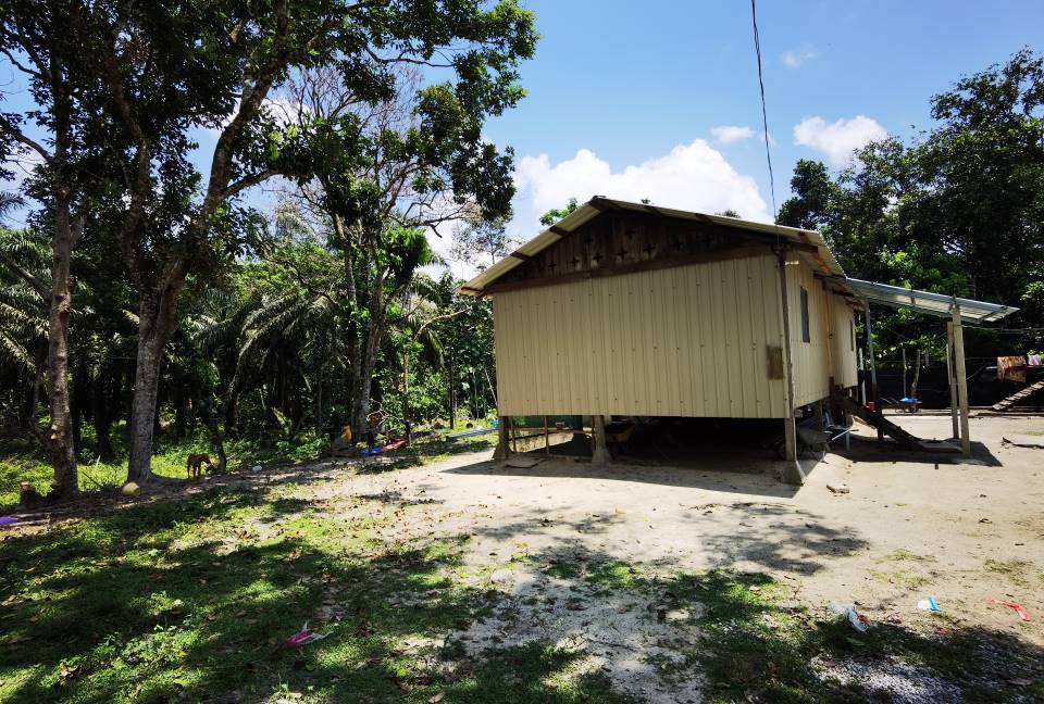 Tanah Pertanian 1 ekar lebih Di Kg Chemomoi Triang - photo 3