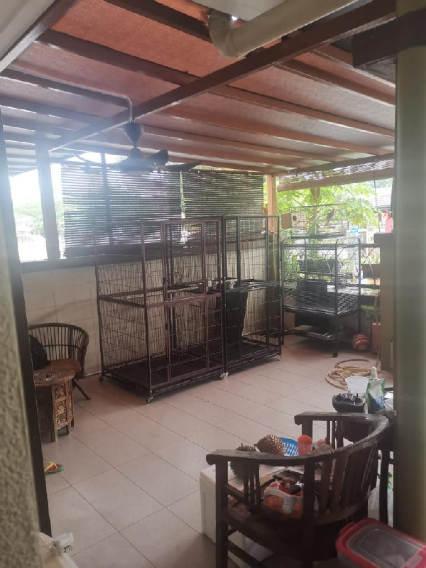 Double Storey Terrace House Renovated Seksyen U10 Shah Alam - photo 10