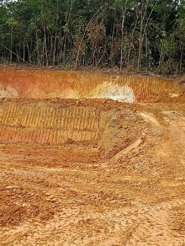 lot banglo - photo 3