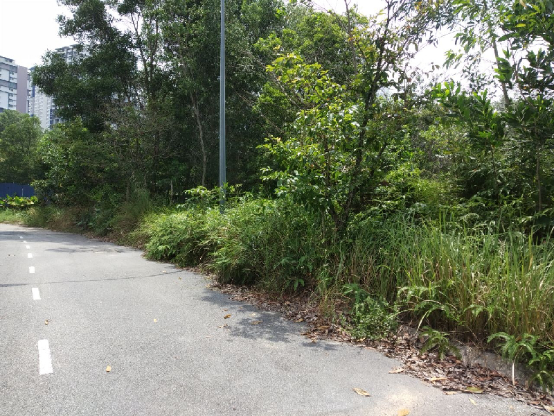 Bungalow Lot Seksyen 7, Bandar Bukit Mahkota, Bangi - photo 3