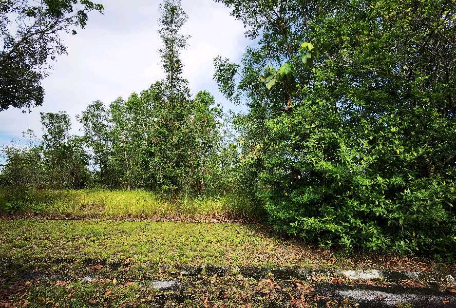 Bungalow Lot 11,636sft Bandar Bukit Mahkota Seksyen 9, Kajang - photo 3