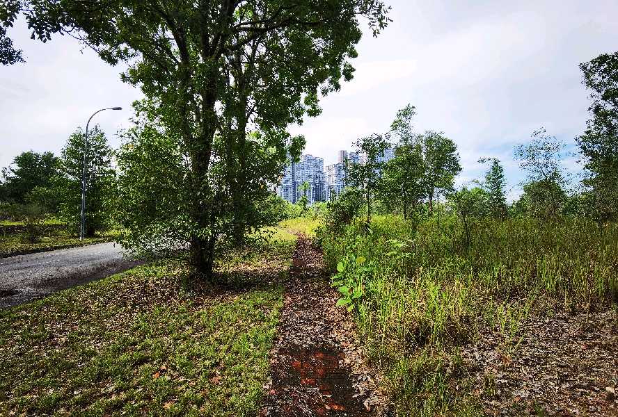 Bungalow Lot 11,636sft Bandar Bukit Mahkota Seksyen 9, Kajang - photo 4