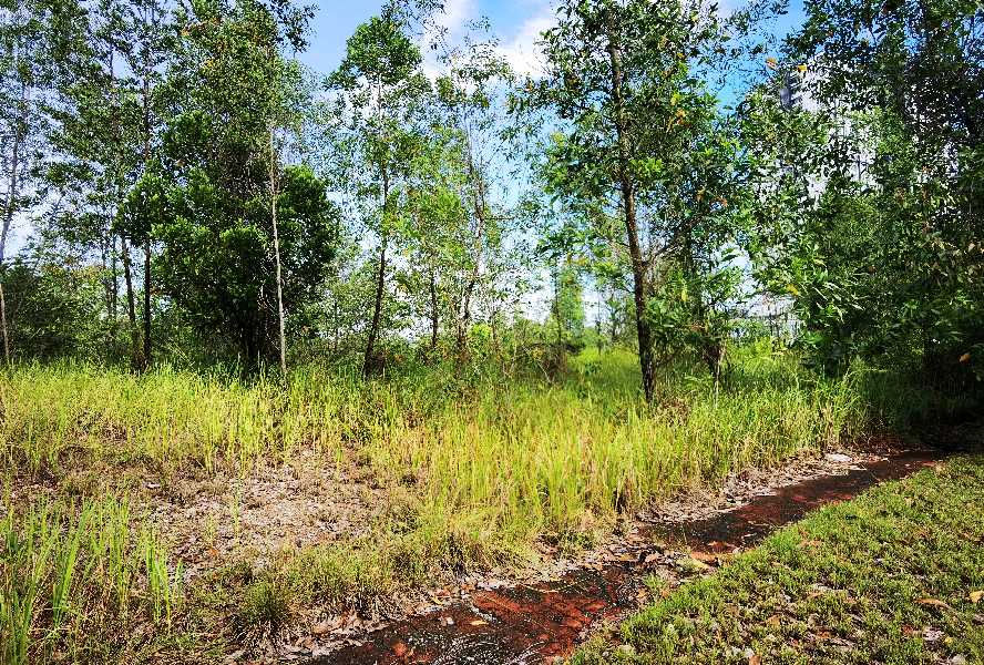 Bungalow Lot 11,636sft Bandar Bukit Mahkota Seksyen 9, Kajang - photo 5