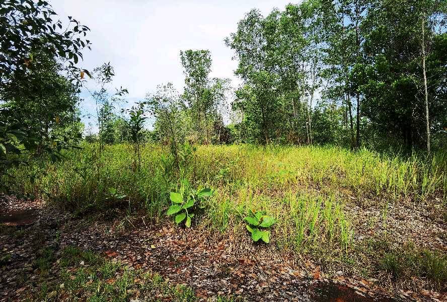 Bungalow Lot 11,636sft Bandar Bukit Mahkota Seksyen 9, Kajang - photo 6