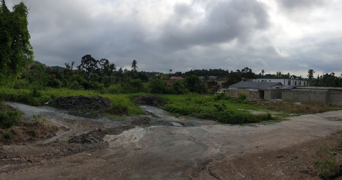 Lot Banglow di Desa Pinggiran Putra Putrajaya untuk dijual -Tepi jalan - photo 4
