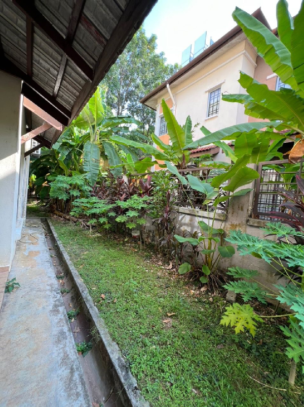 2.5 Storey Terrace House  - photo 2