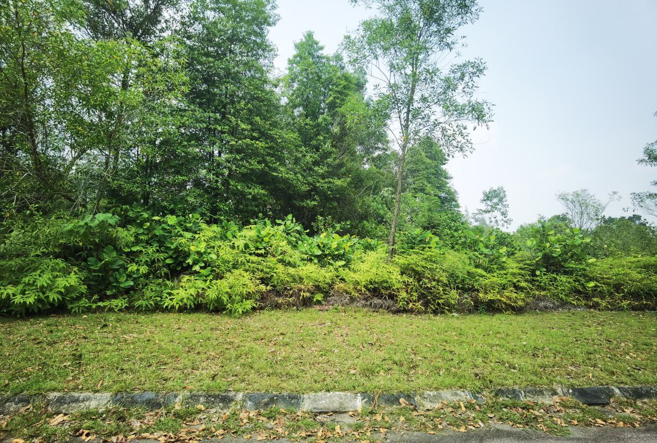 Bungalow Lot 10,936 Sqft Bandar Bukit Mahkota - photo 4