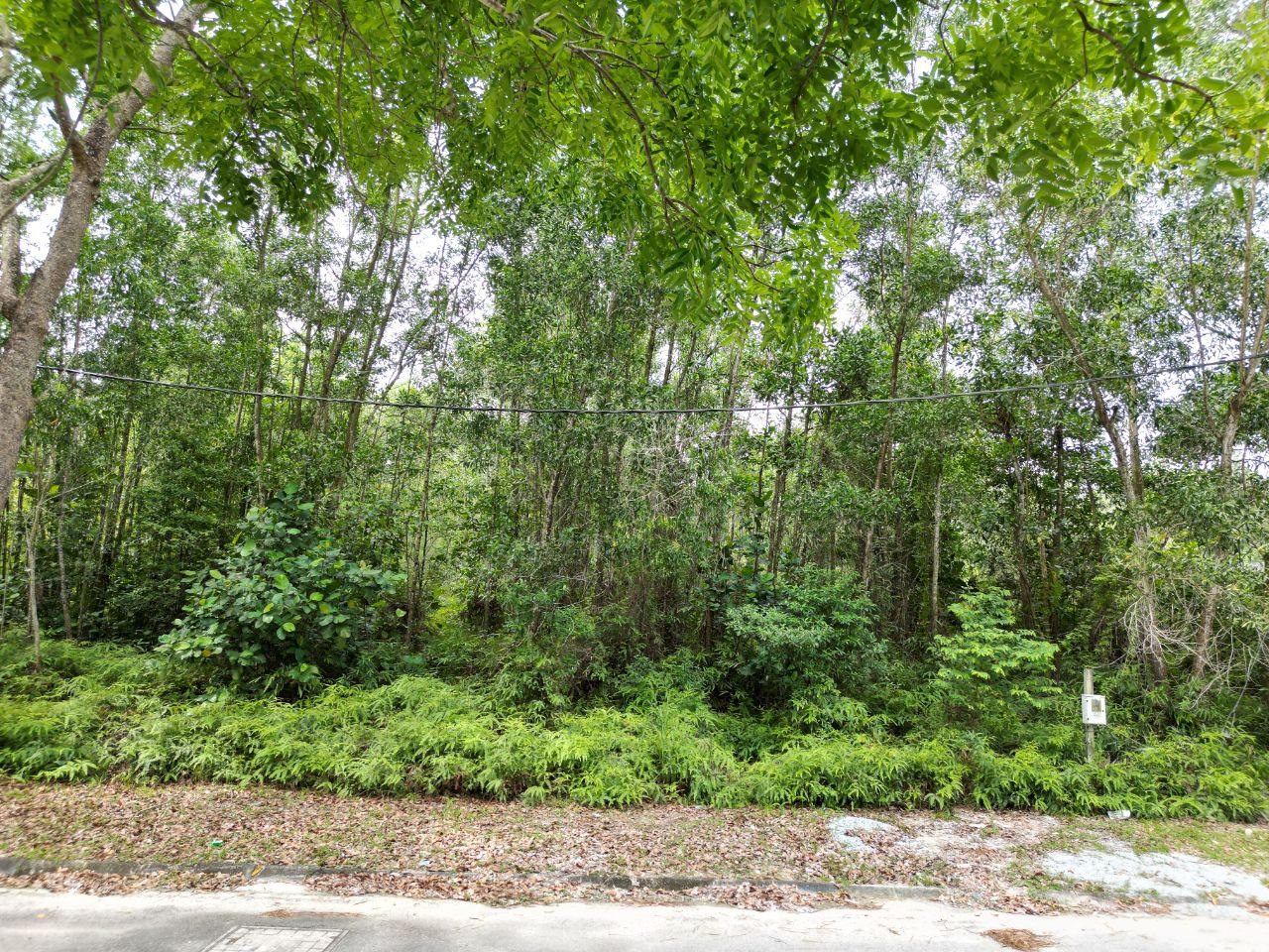 Bungalow Lot 8000sqft Bandar Bukit Mahkota - photo 3