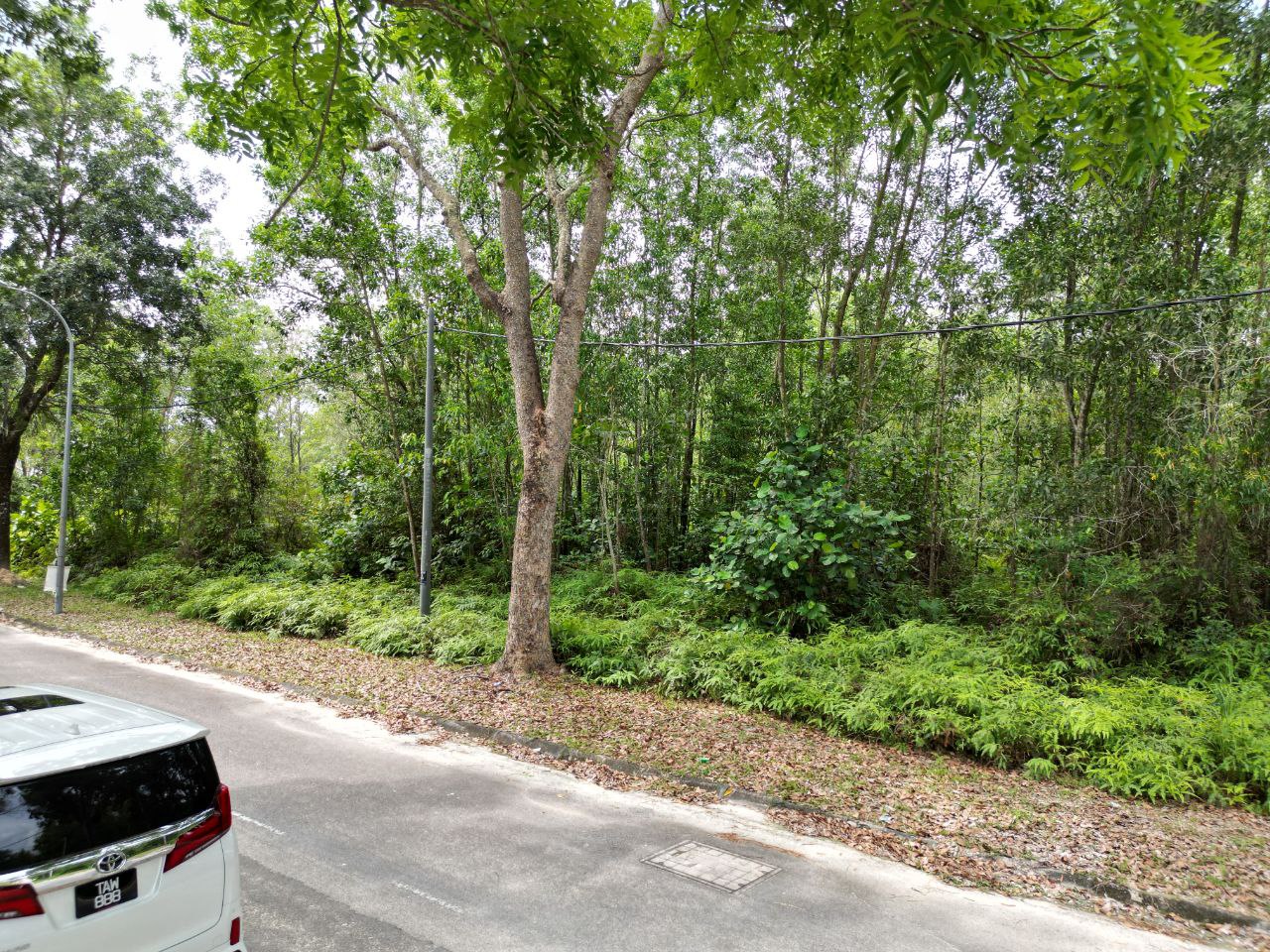 Bungalow Lot 8000sqft Bandar Bukit Mahkota - photo 4