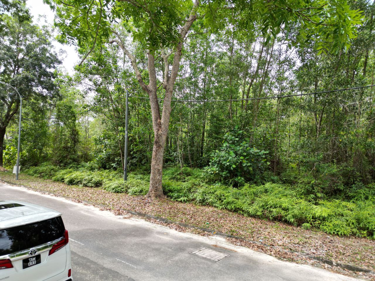 Bungalow Lot 8000sqft Bandar Bukit Mahkota - photo 7