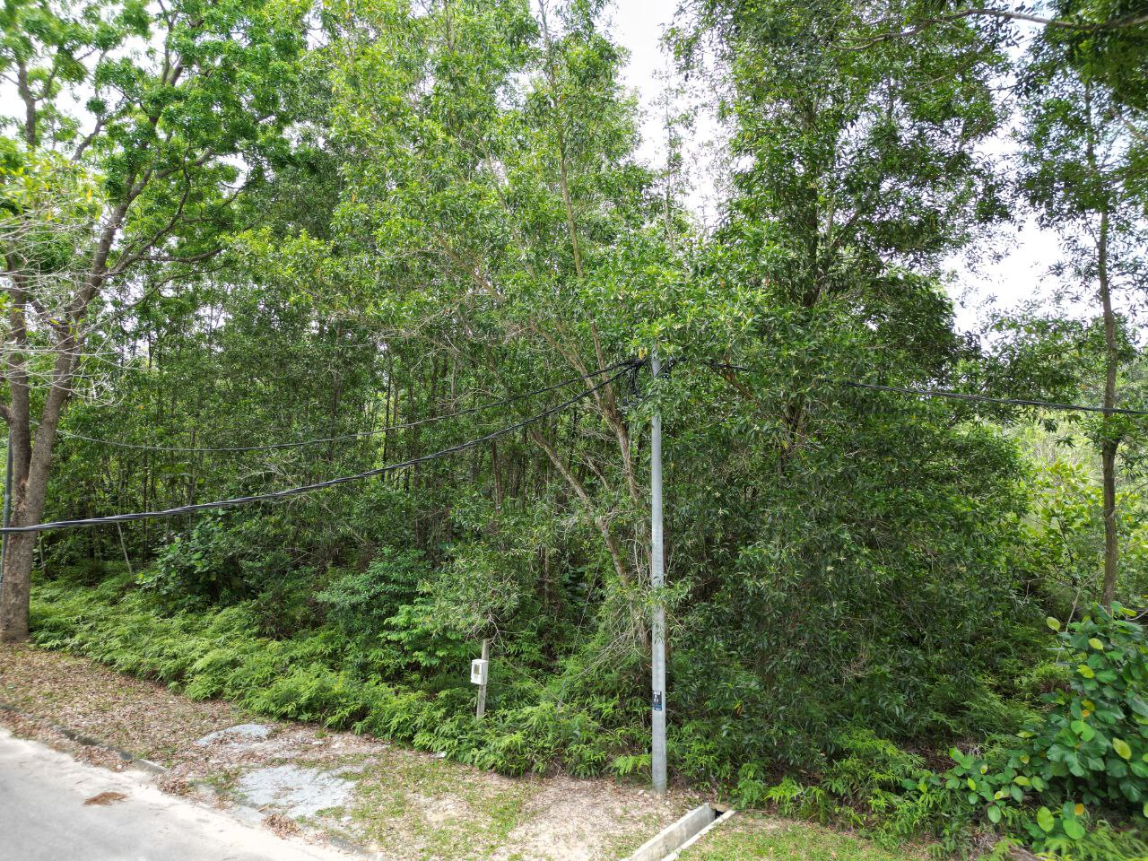 Bungalow Lot 8000sqft Bandar Bukit Mahkota - photo 8