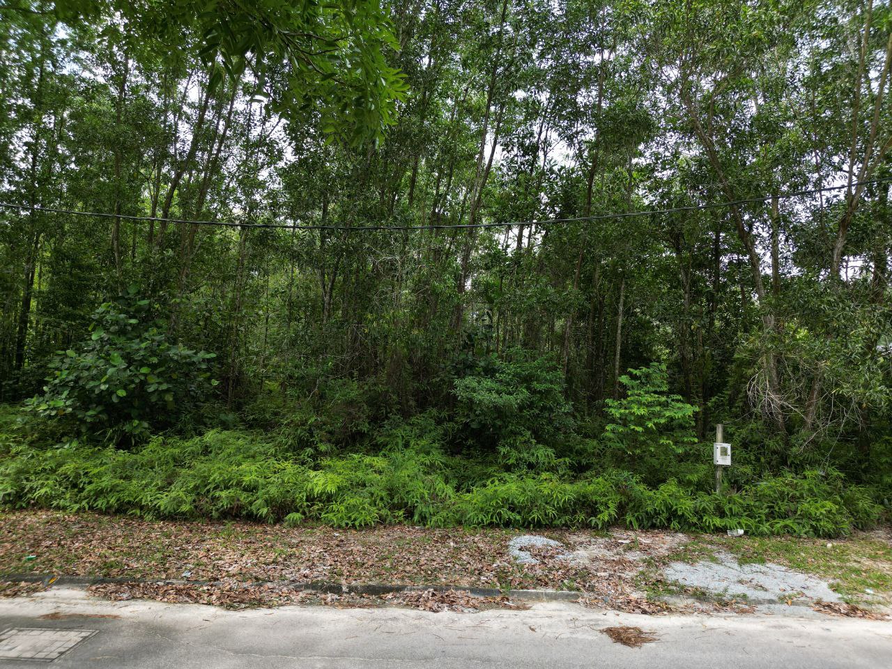 Bungalow Lot 8000sqft Bandar Bukit Mahkota - photo 10