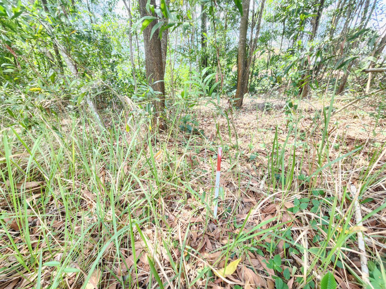 Banglo Corner Lot Facing Open Bandar Tasik Kesuma - photo 6