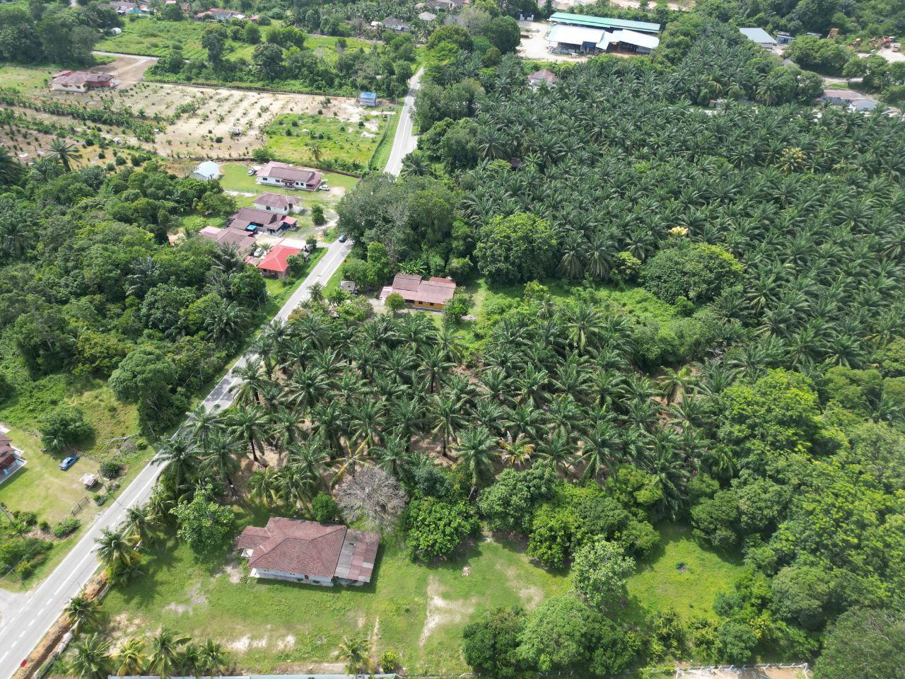 Tanah 1 Ekar Berdekatan Pantai Pengkalan Balak - photo 13