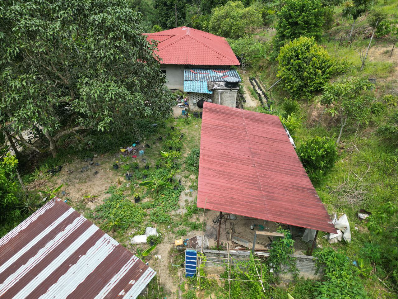 Tanah 4 Ekar Kampung Rembang Panas Kuala Pilah - photo 2
