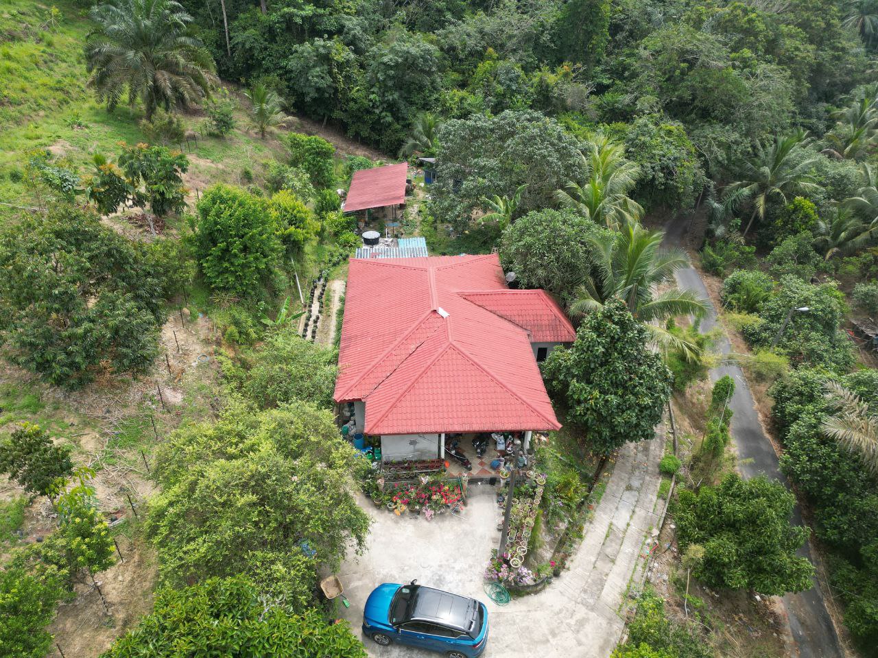 Tanah 4 Ekar Kampung Rembang Panas Kuala Pilah - photo 3