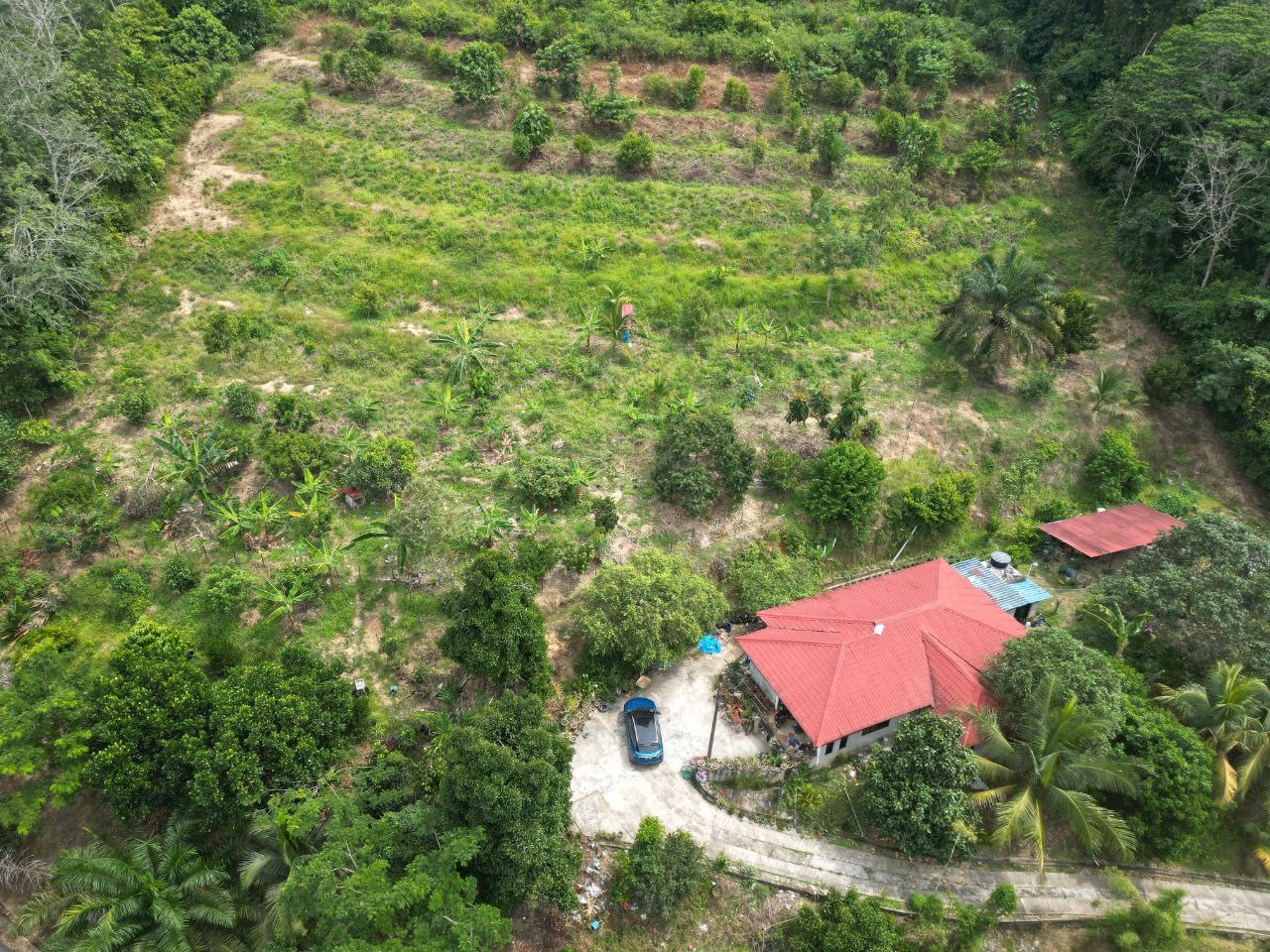 Tanah 4 Ekar Kampung Rembang Panas Kuala Pilah - photo 6