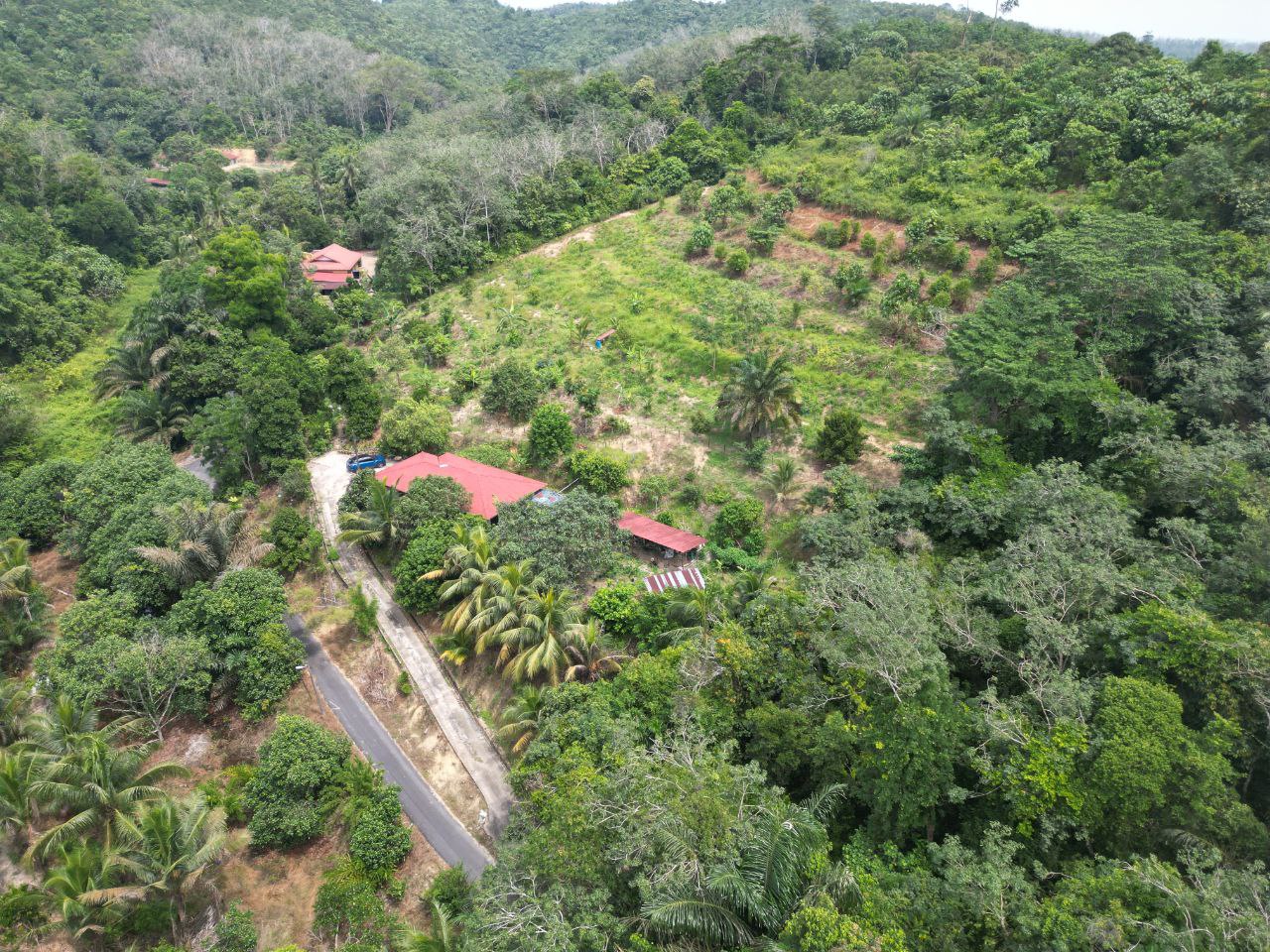 Tanah 4 Ekar Kampung Rembang Panas Kuala Pilah - photo 7