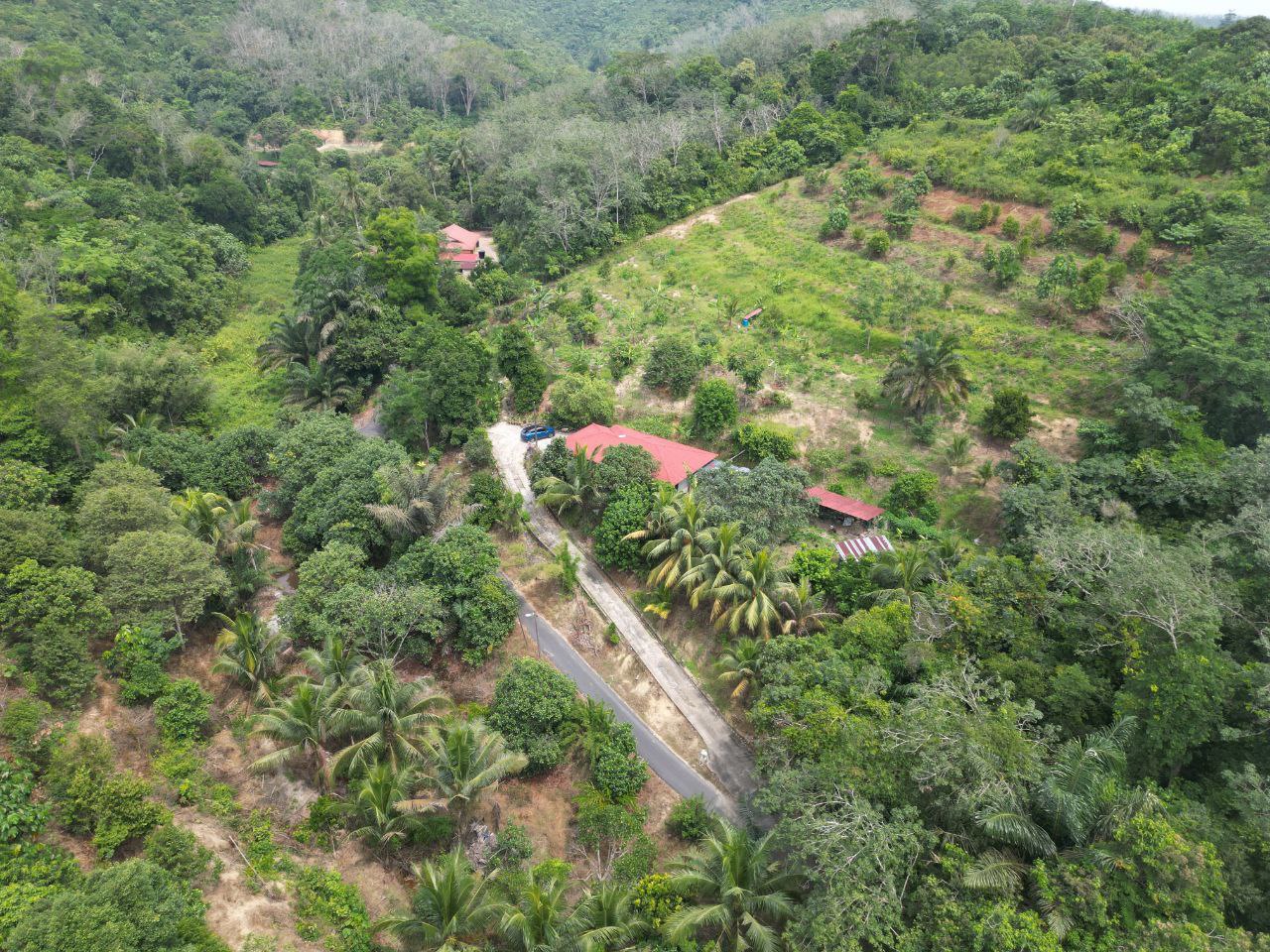 Tanah 4 Ekar Kampung Rembang Panas Kuala Pilah - photo 8