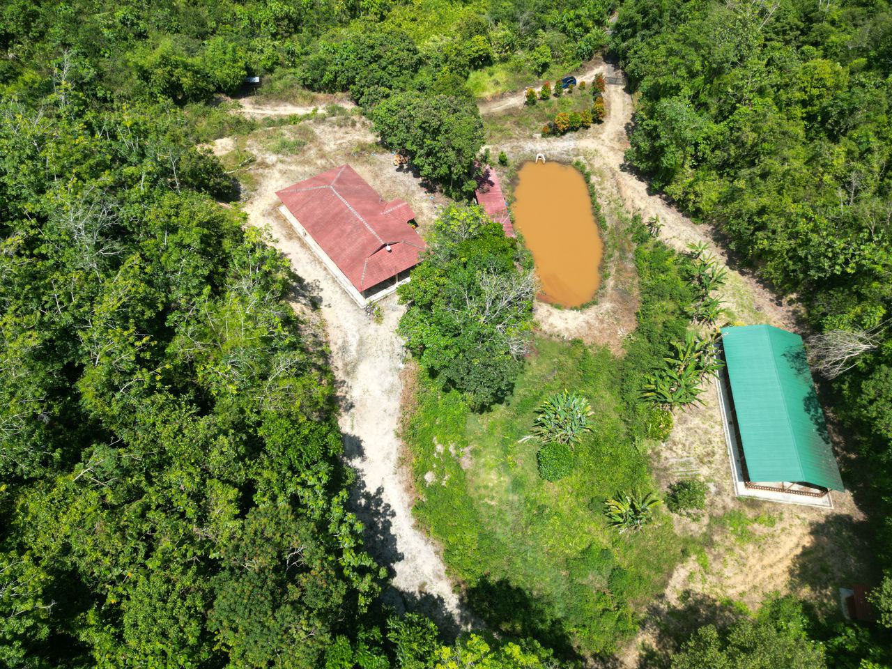 Tanah 2 Ekar Kampung Rembang Panas Kuala Pilah - photo 2