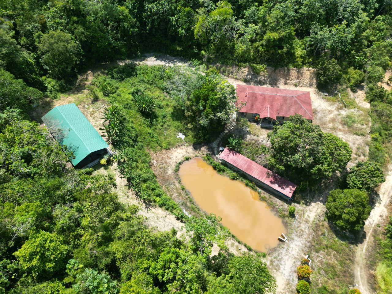 Tanah 2 Ekar Kampung Rembang Panas Kuala Pilah - photo 3