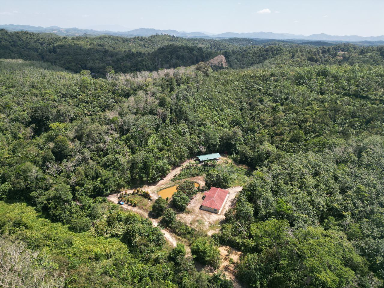 Tanah 2 Ekar Kampung Rembang Panas Kuala Pilah - photo 4