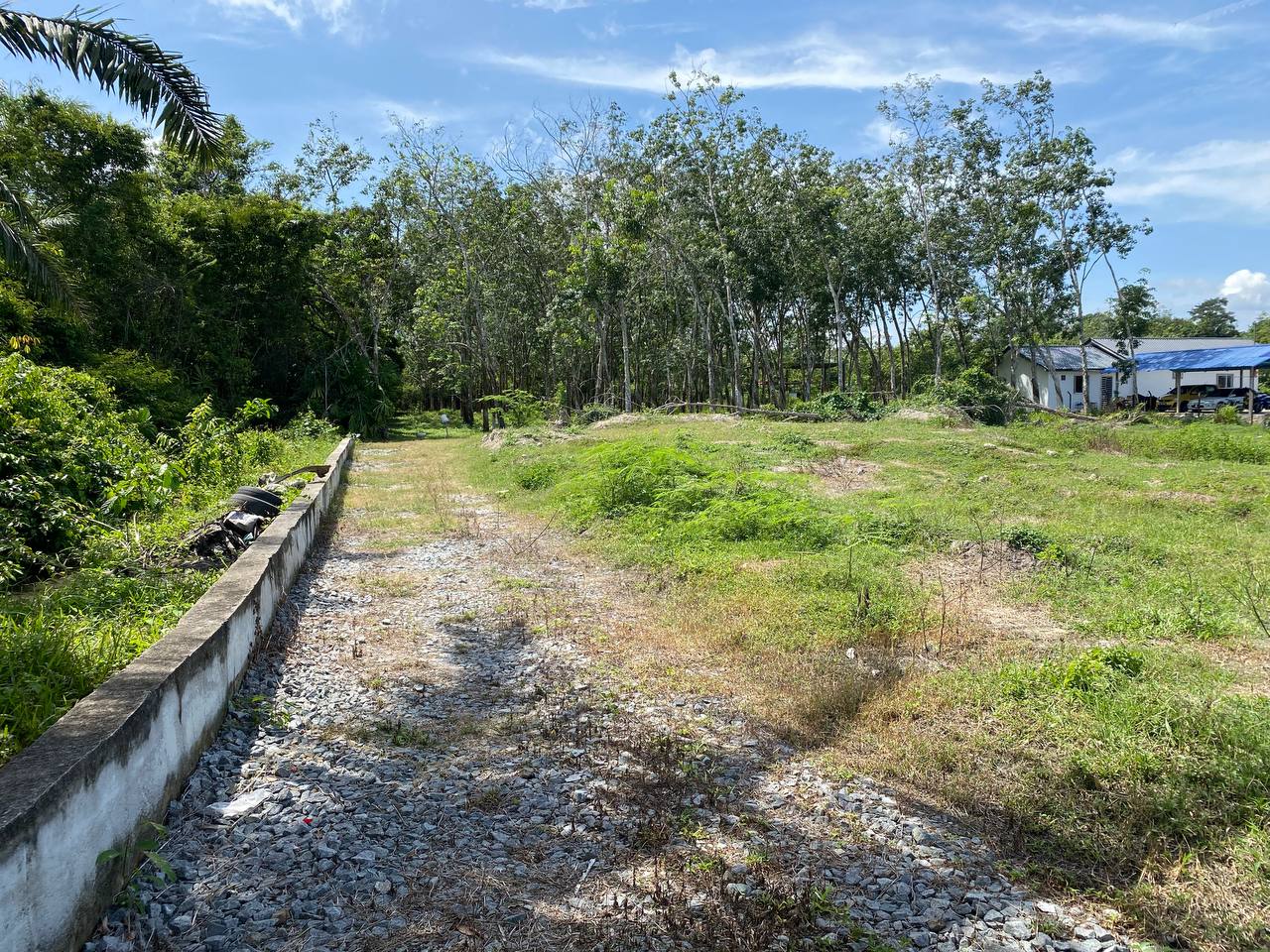 Agriculture Land Near Main Road 1 Acre Jemapoh - photo 4