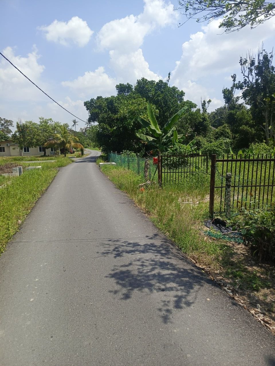 Dusun durian berserta rumah untuk dijual Leng - photo 7