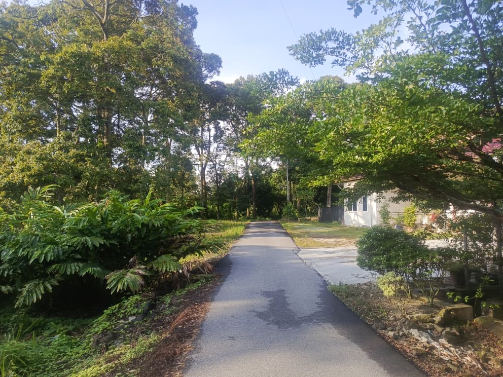 Dusun durian berserta rumah untuk dijual Leng - photo 2