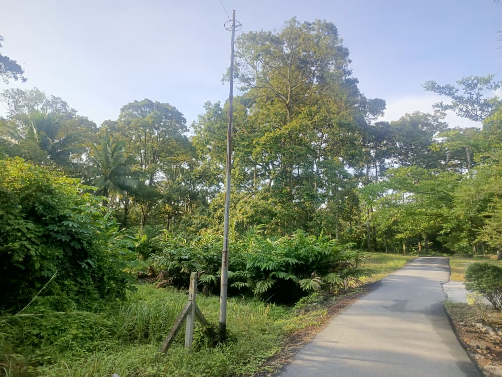 Dusun durian berserta rumah untuk dijual Leng - photo 6