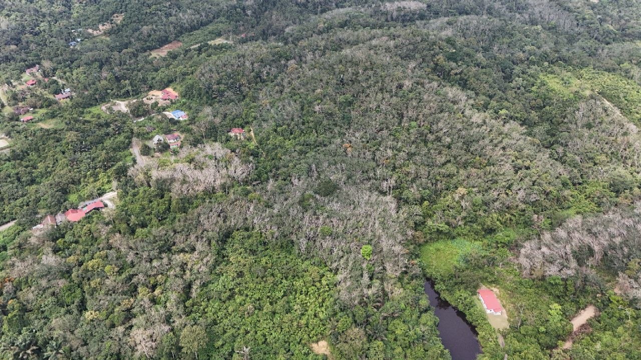 Tanah Pertanian Kampung Pilah Tengah