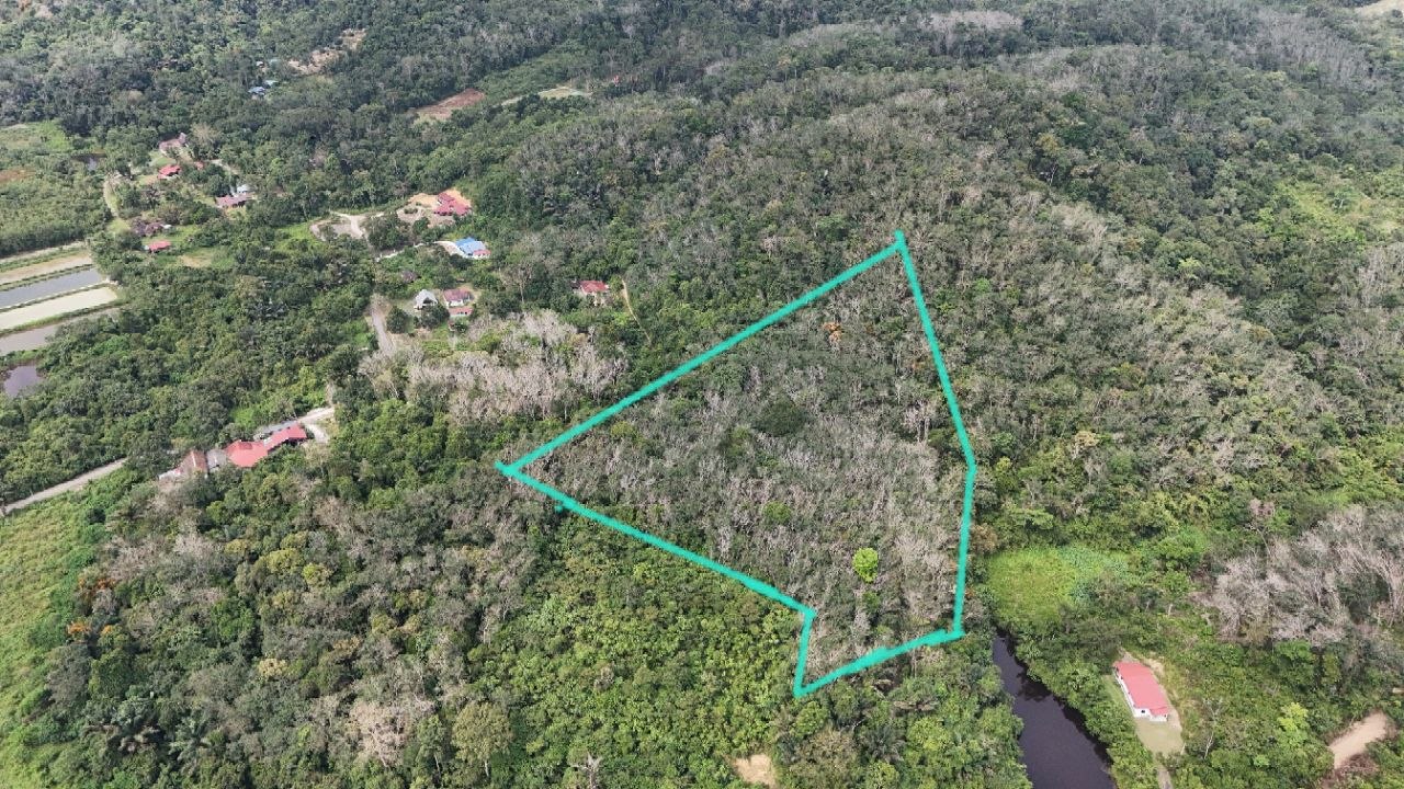 Tanah Pertanian Kampung Pilah Tengah - photo 2