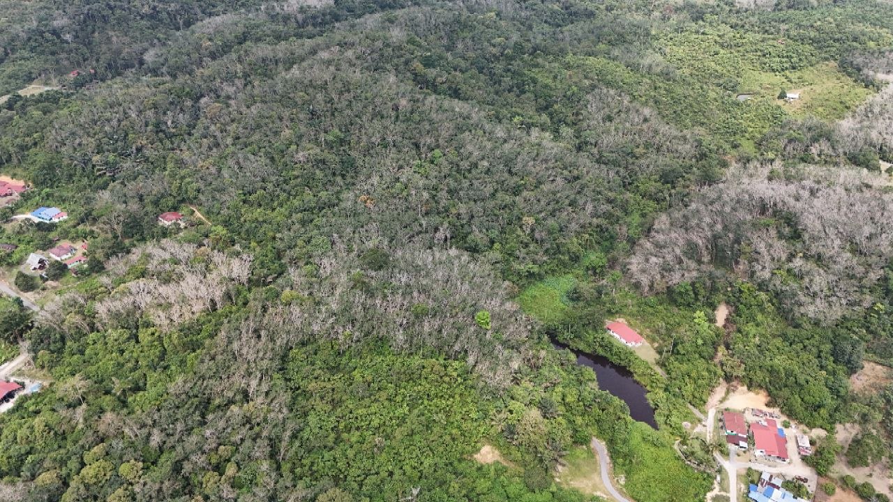 Tanah Pertanian Kampung Pilah Tengah - photo 4
