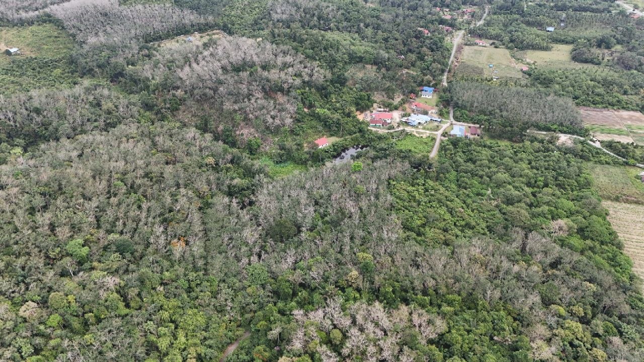 Tanah Pertanian Kampung Pilah Tengah - photo 8