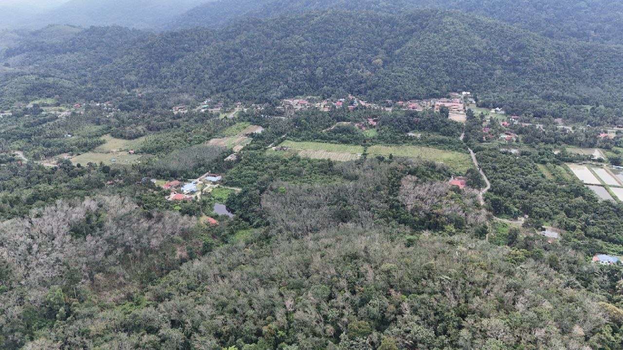 Tanah Pertanian Kampung Pilah Tengah - photo 11