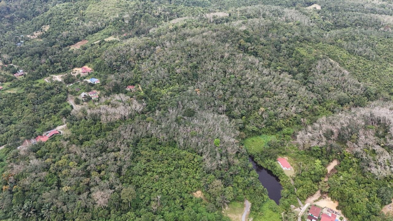 Tanah Pertanian Kampung Pilah Tengah - photo 12