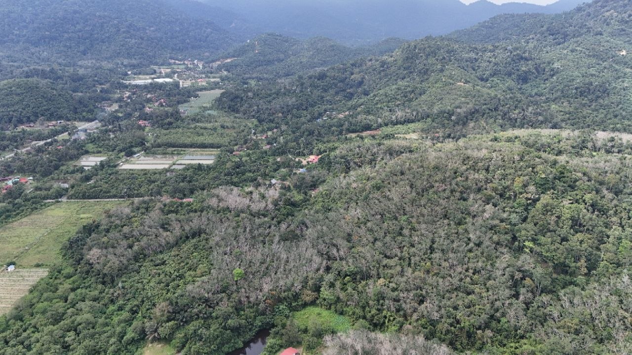 Tanah Pertanian Kampung Pilah Tengah - photo 13
