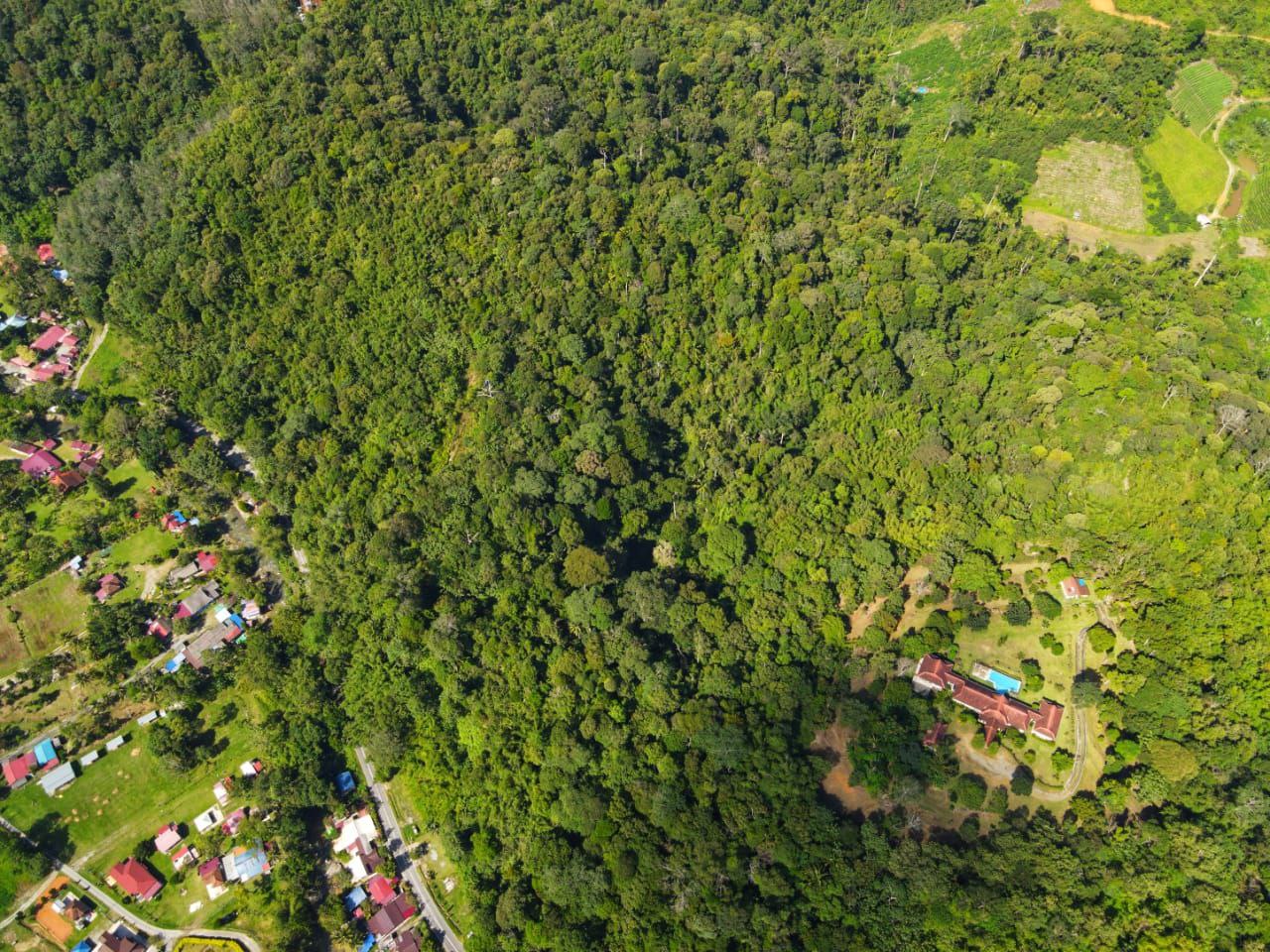 Tanah Agricultural Land Janda Baik Pahang - photo 3