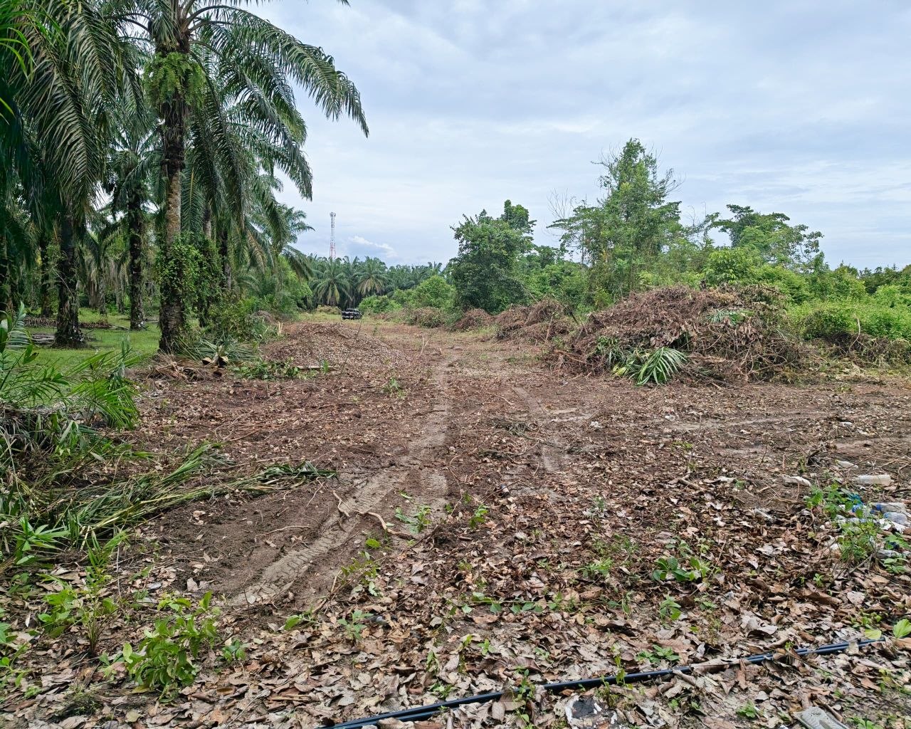 Tanah Pertanian untuk dijual area Kuala Pilah - photo 2