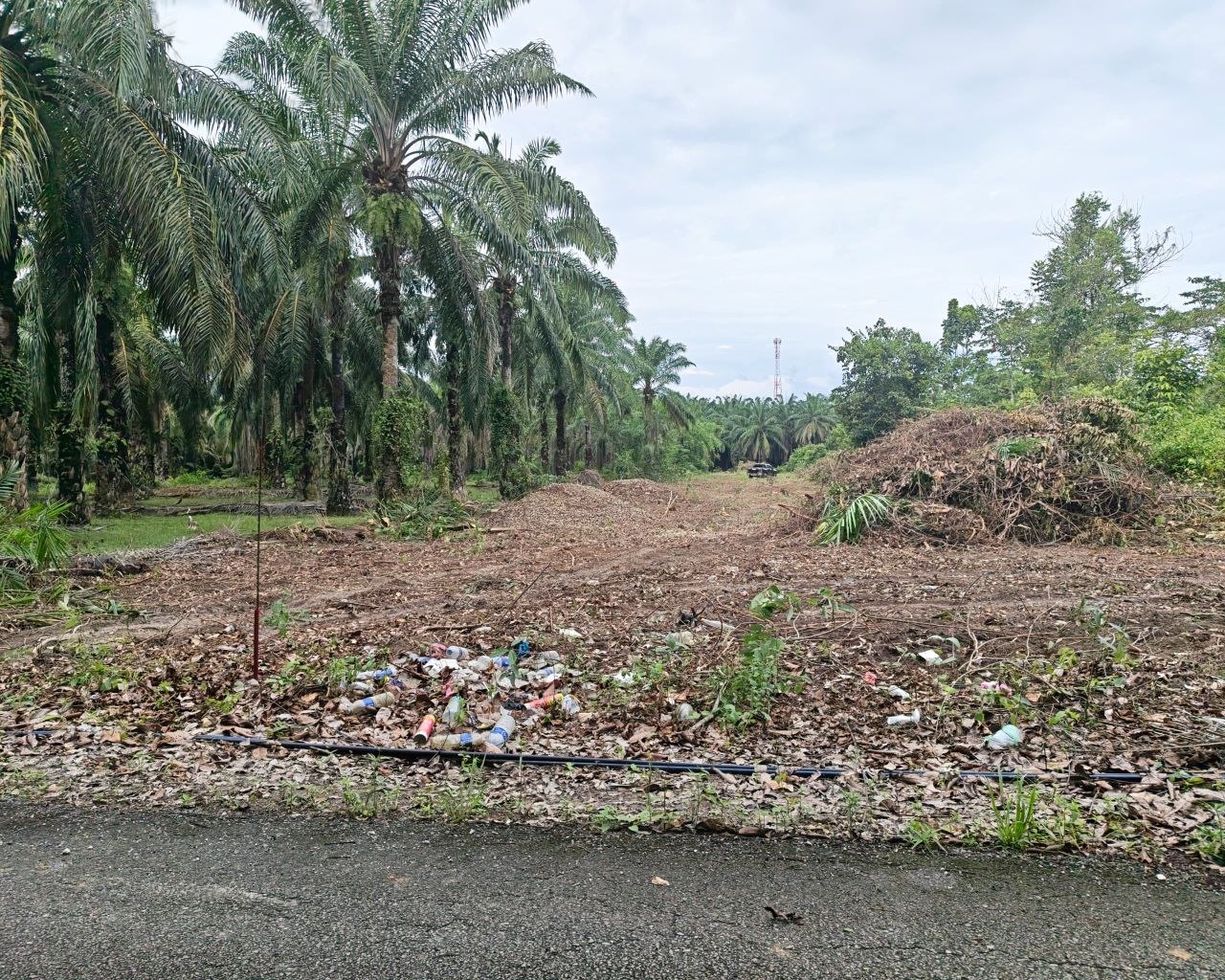Tanah Pertanian untuk dijual area Kuala Pilah - photo 3